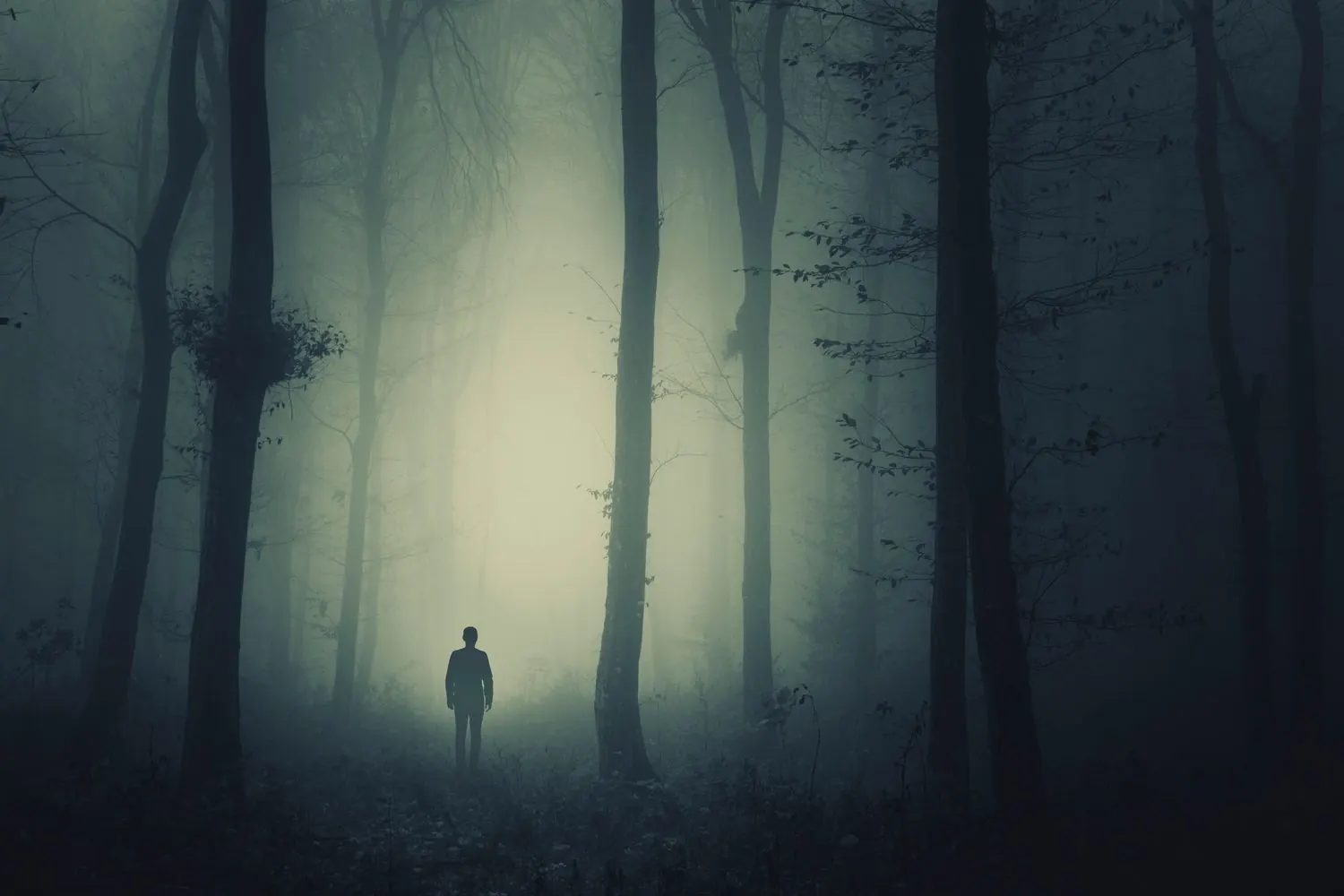 A lone figure standing in a dark, foggy forest